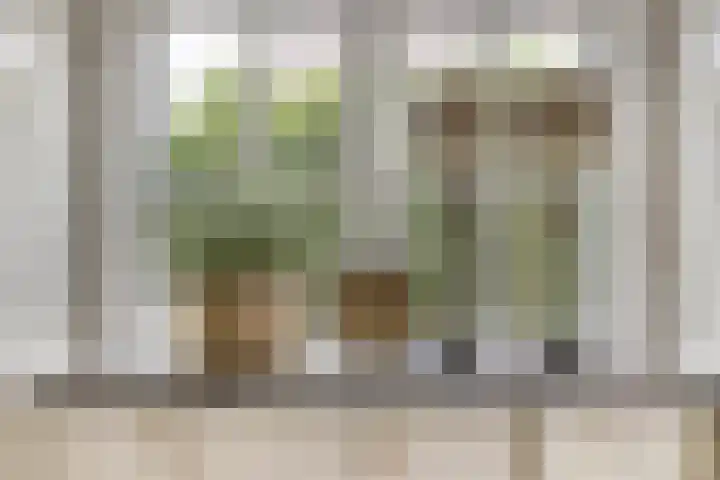 Witbol 2 Lochem thumbnail 13