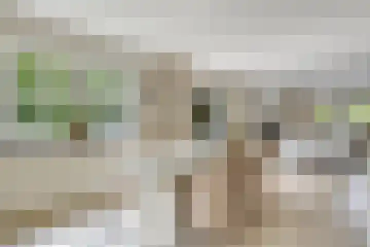Witbol 2 Lochem thumbnail 14
