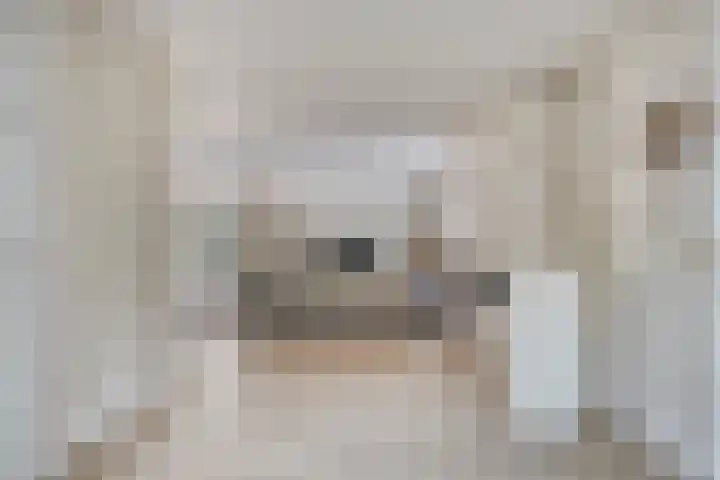 Witbol 2 Lochem thumbnail 20