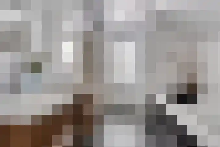 Witbol 2 Lochem thumbnail 37