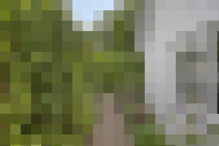 Witbol 2 Lochem thumbnail 44