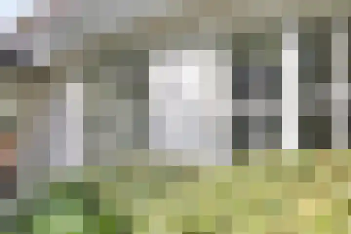 Witbol 2 Lochem thumbnail 46
