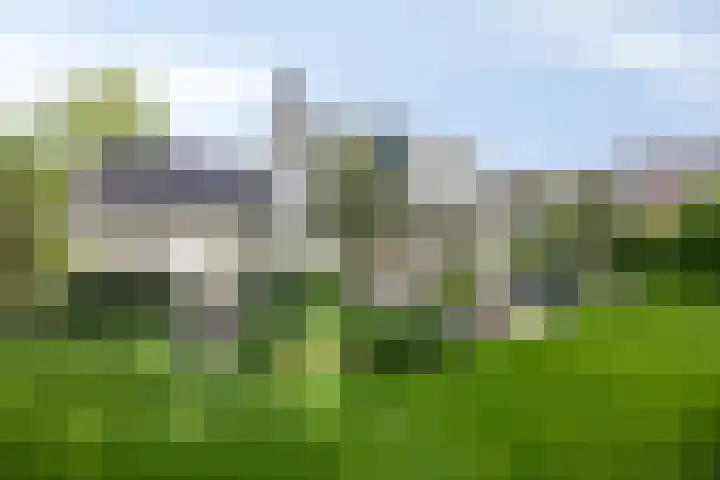 Witbol 2 Lochem thumbnail 50