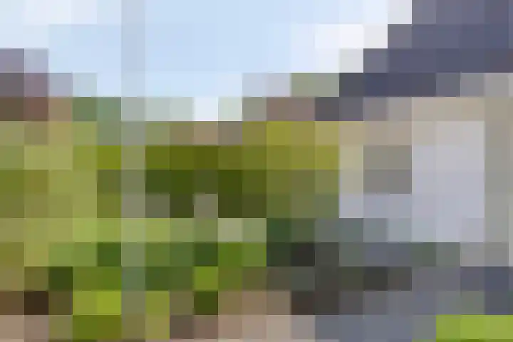 Witbol 2 Lochem thumbnail 56