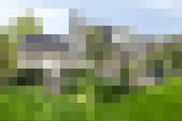 Witbol 2 Lochem thumbnail 62