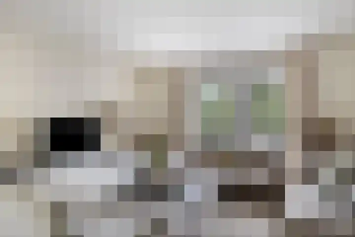 Witbol 2 Lochem thumbnail 9