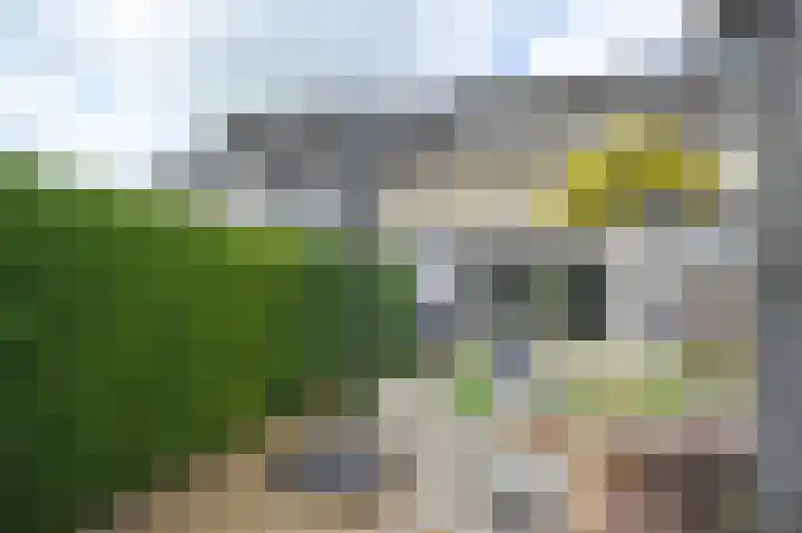 Witbol 27 Nootdorp thumbnail 12