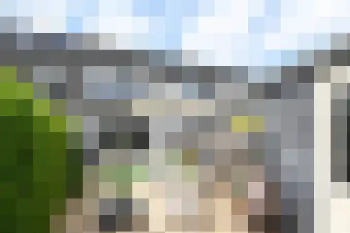 Witbol 27 Nootdorp thumbnail 13