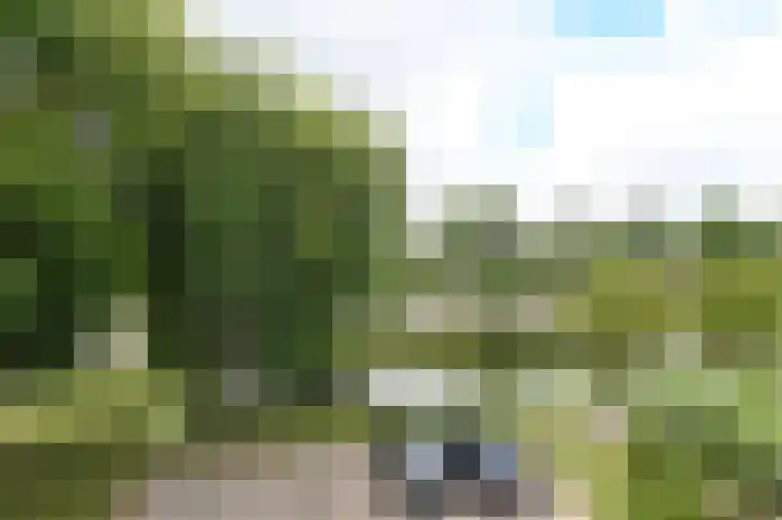 Witbol 27 Nootdorp thumbnail 44