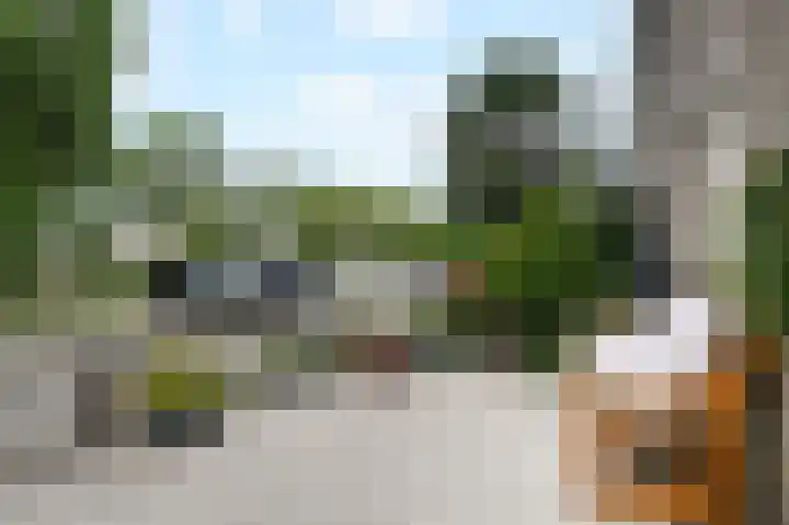 Witbol 27 Nootdorp thumbnail 53