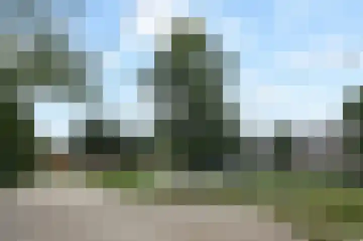 Witbol 27 Nootdorp thumbnail 55
