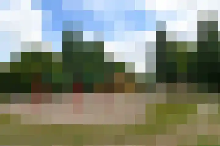 Witbol 27 Nootdorp thumbnail 56