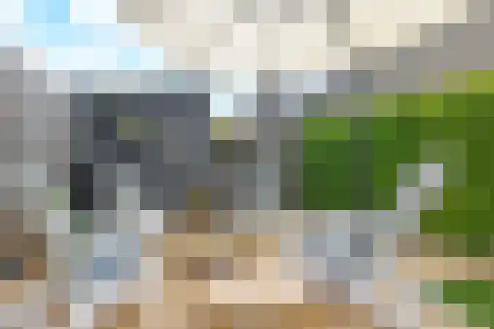 Witbol 27 Nootdorp thumbnail 9