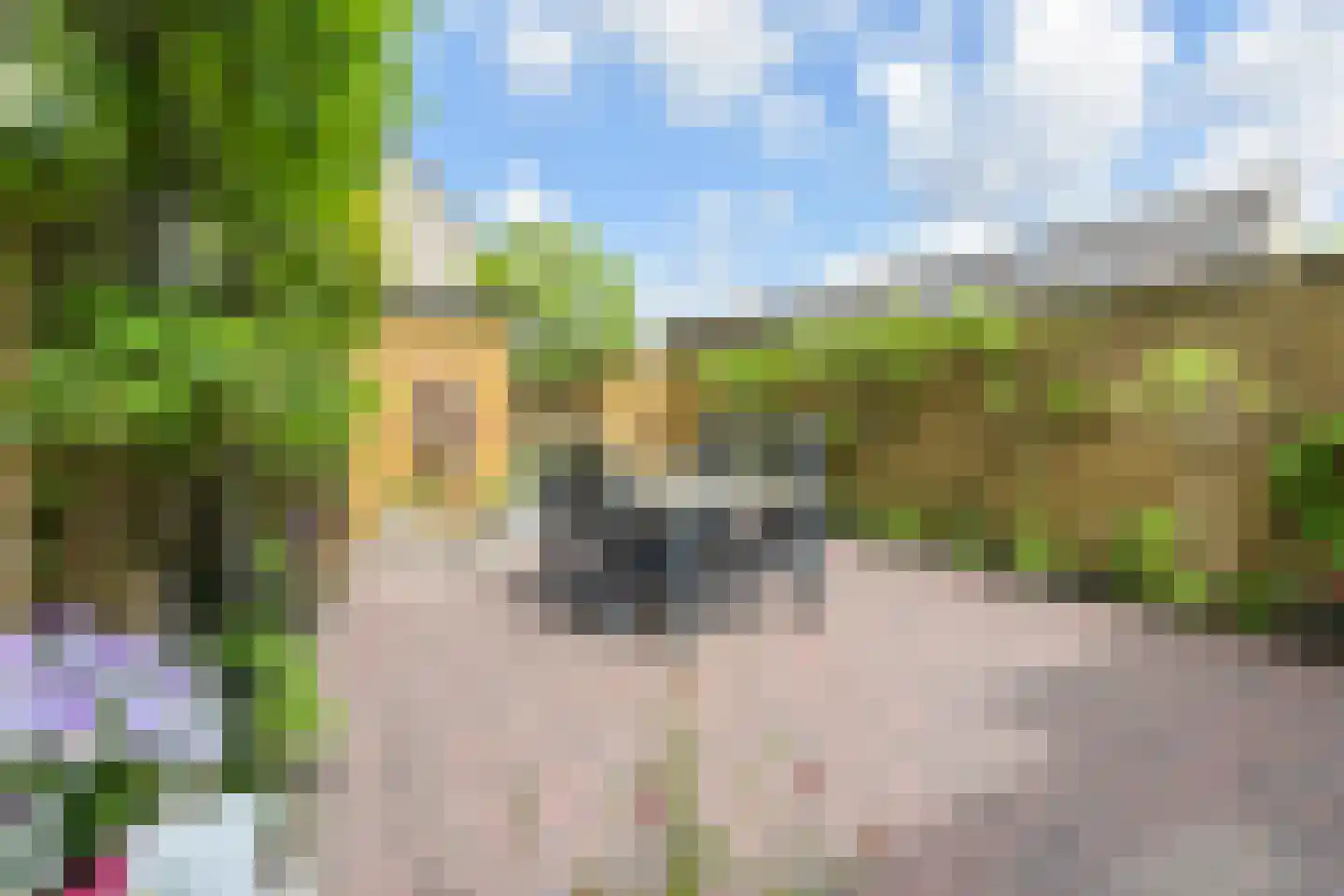 Witbol 3 Nootdorp thumbnail 20