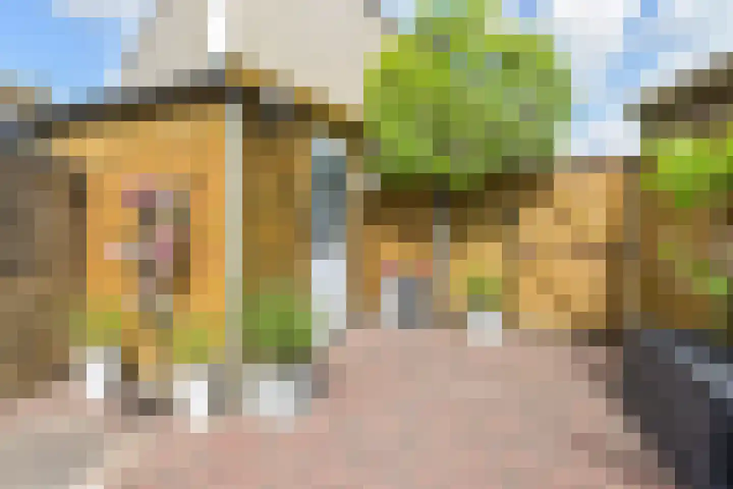 Witbol 3 Nootdorp thumbnail 22