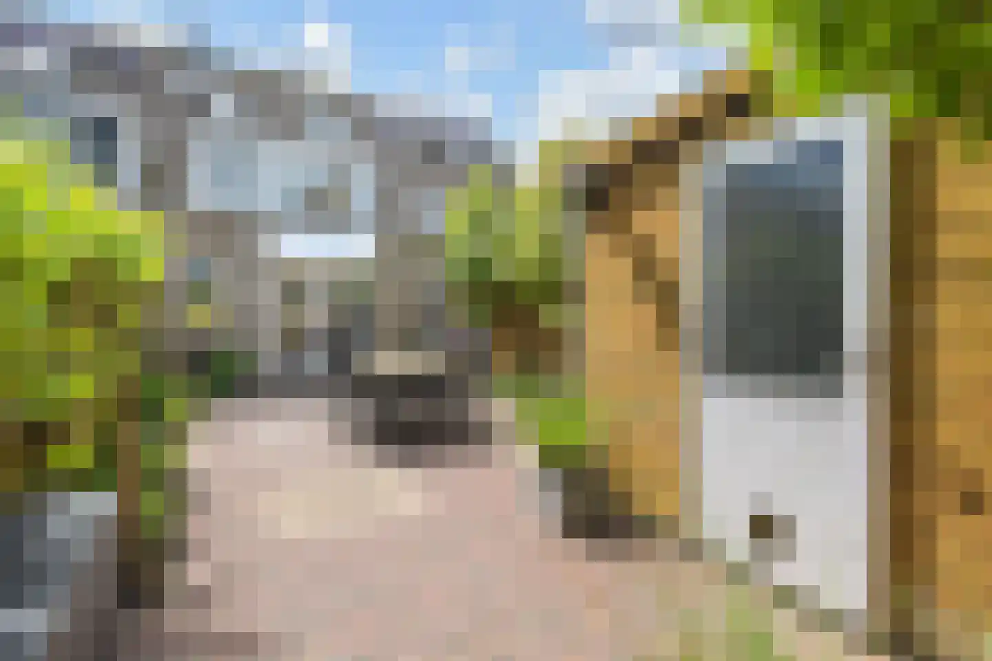 Witbol 3 Nootdorp thumbnail 23