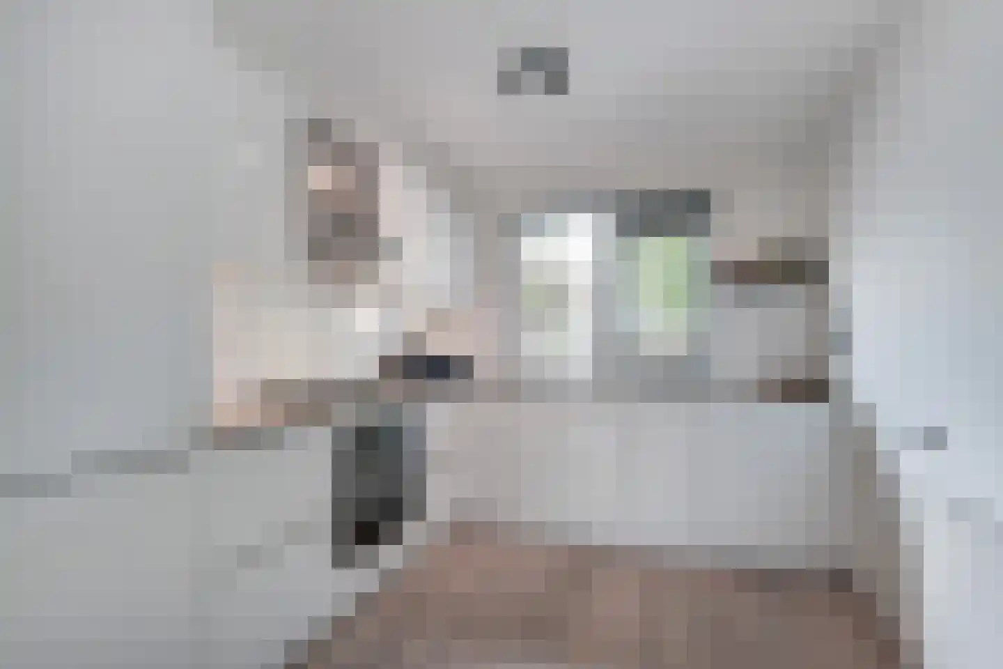 Witbol 3 Nootdorp foto 3