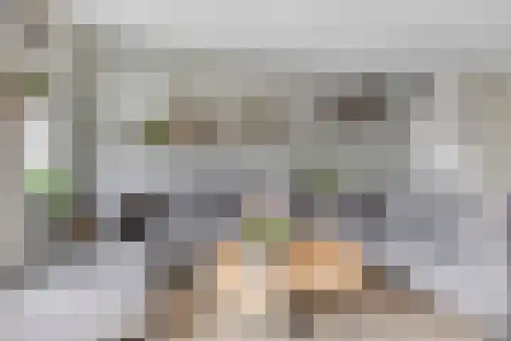 Witbolgras 2 Meppel thumbnail 10