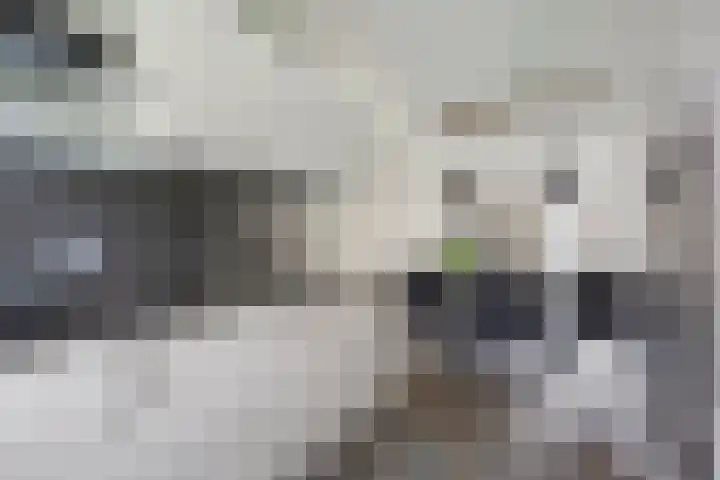 Witbolgras 2 Meppel thumbnail 16