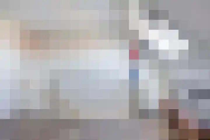 Witbolgras 2 Meppel thumbnail 27