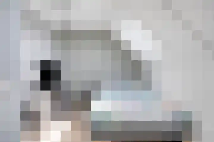 Witbolgras 2 Meppel thumbnail 28