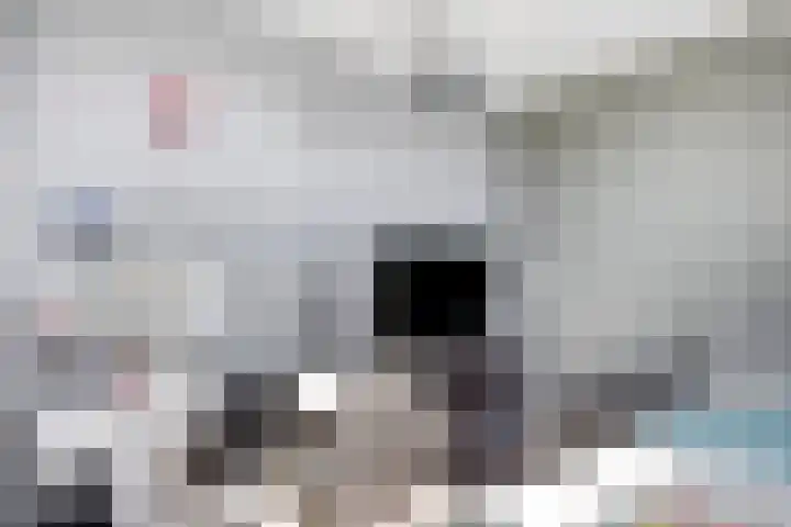 Witbolgras 2 Meppel thumbnail 29