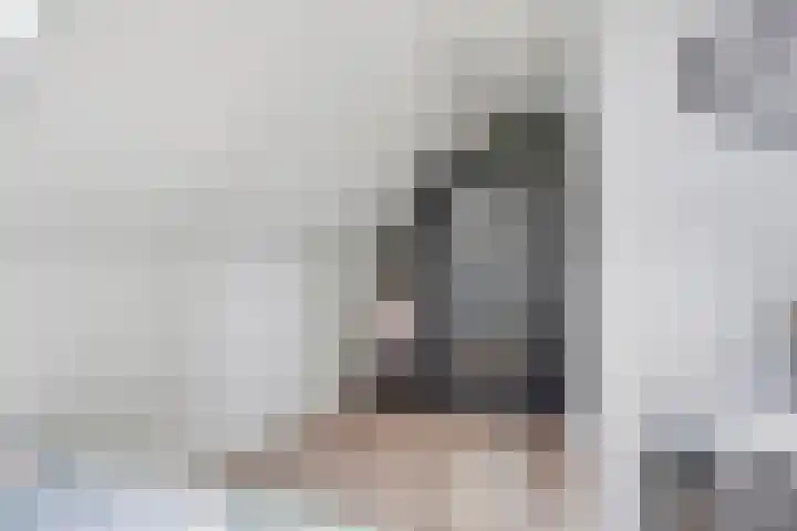 Witbolgras 2 Meppel thumbnail 30