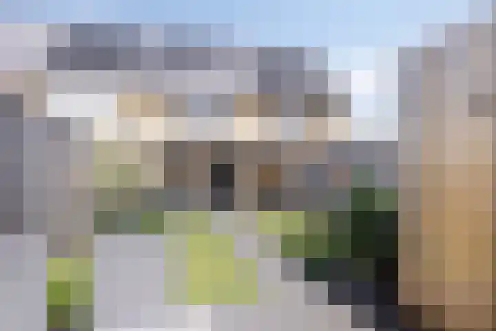 Witbolgras 2 Meppel thumbnail 33