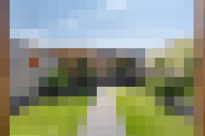 Witbolgras 2 Meppel thumbnail 36