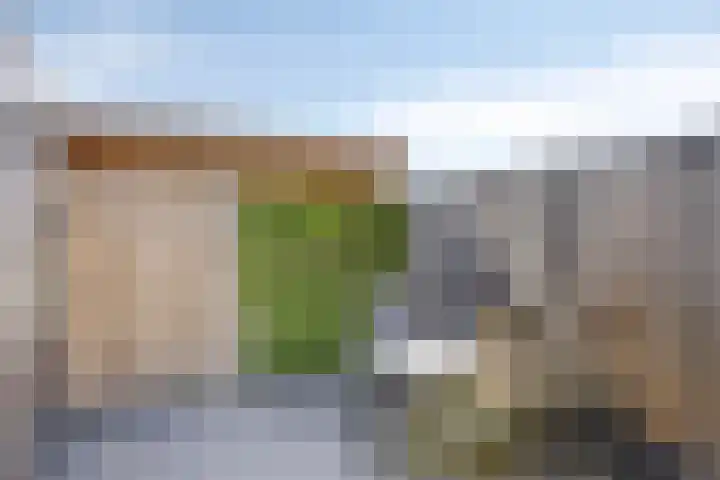 Witbolgras 2 Meppel thumbnail 37