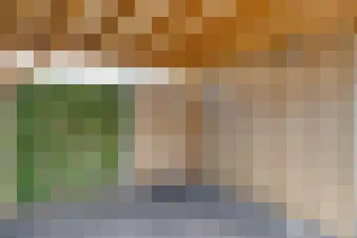 Witbolgras 2 Meppel thumbnail 38