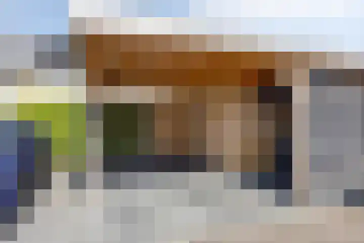 Witbolgras 2 Meppel thumbnail 39