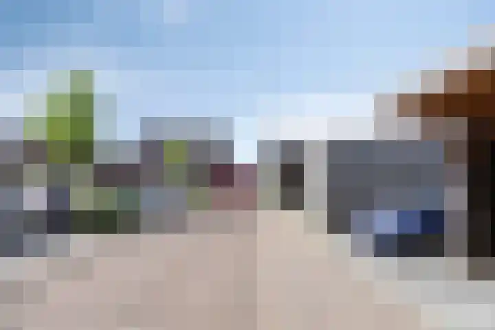 Witbolgras 2 Meppel thumbnail 40