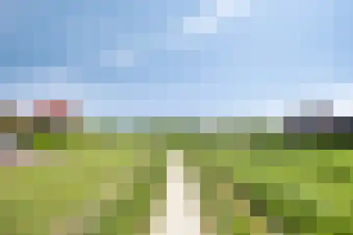 Witbolgras 2 Meppel thumbnail 45