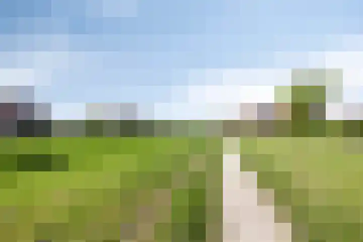 Witbolgras 2 Meppel thumbnail 46
