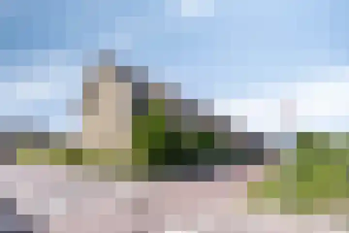 Witbolgras 2 Meppel thumbnail 5