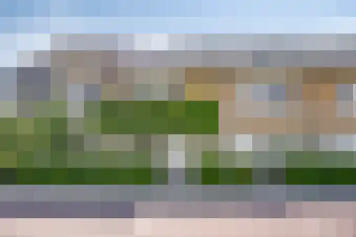 Witbolgras 2 Meppel thumbnail 52