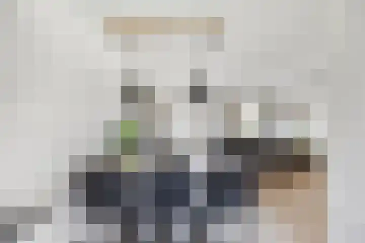 Witbolgras 2 Meppel thumbnail 7