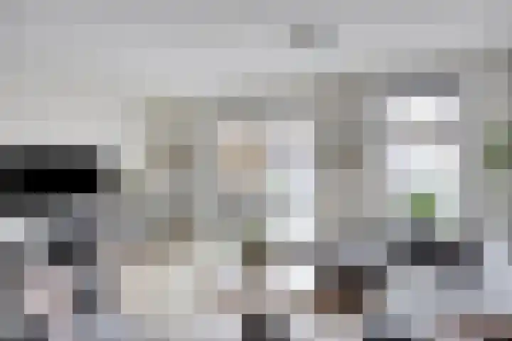 Witbolgras 2 Meppel thumbnail 9