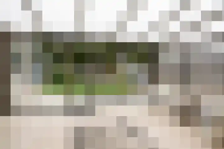 Witbolgrasbeemd 25 Valkenswaard thumbnail 17