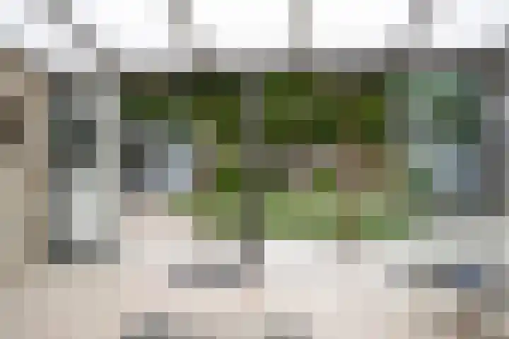 Witbolgrasbeemd 25 Valkenswaard thumbnail 19