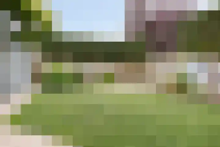 Witbolgrasbeemd 25 Valkenswaard thumbnail 38