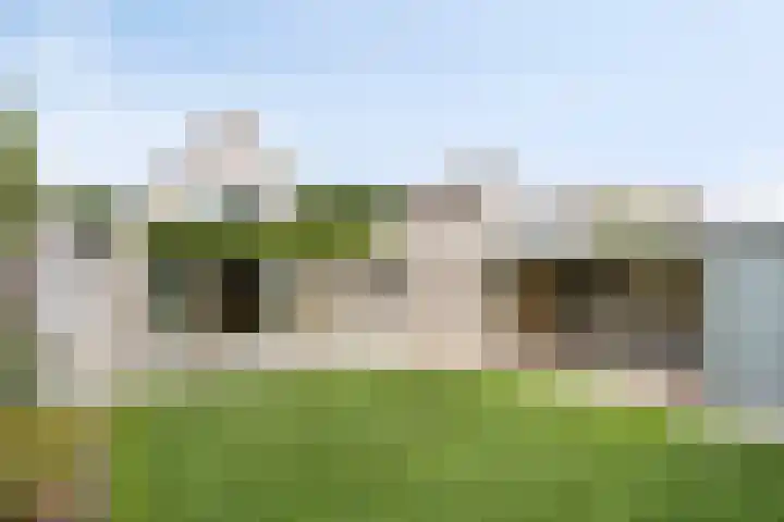 Witbolgrasbeemd 25 Valkenswaard thumbnail 39