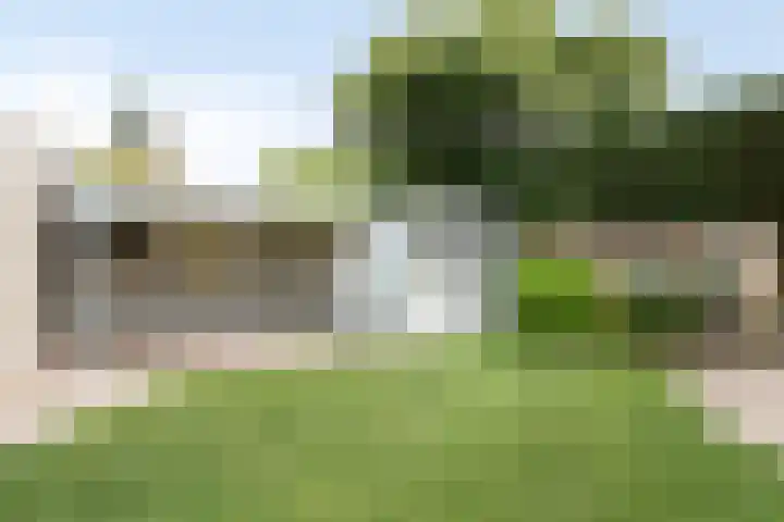Witbolgrasbeemd 25 Valkenswaard thumbnail 42