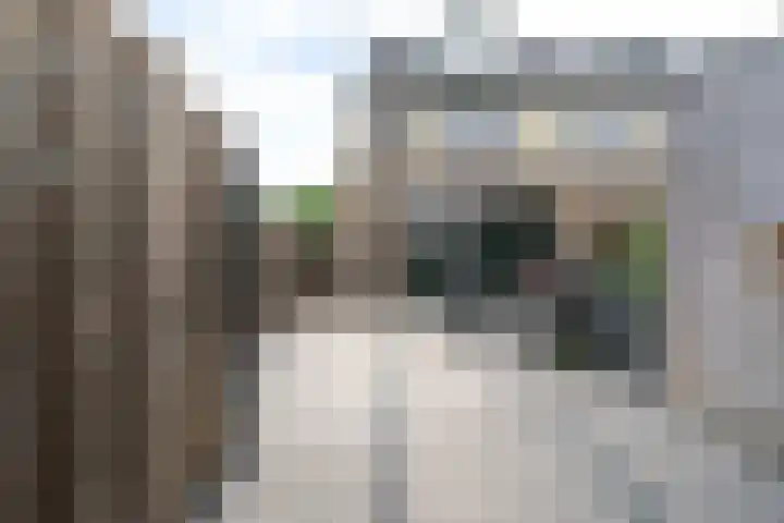 Witbolstraat 7 Heerhugowaard thumbnail 43