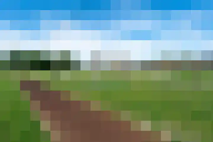 Witbolstraat 7 Heerhugowaard thumbnail 47