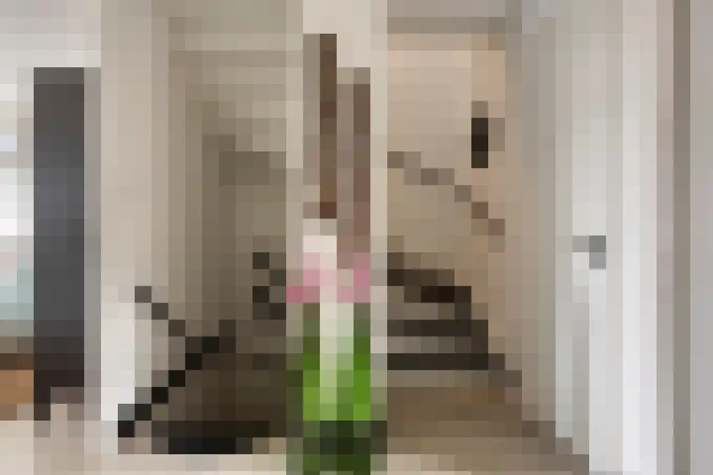 Witbomenbos 16 Meteren thumbnail 19