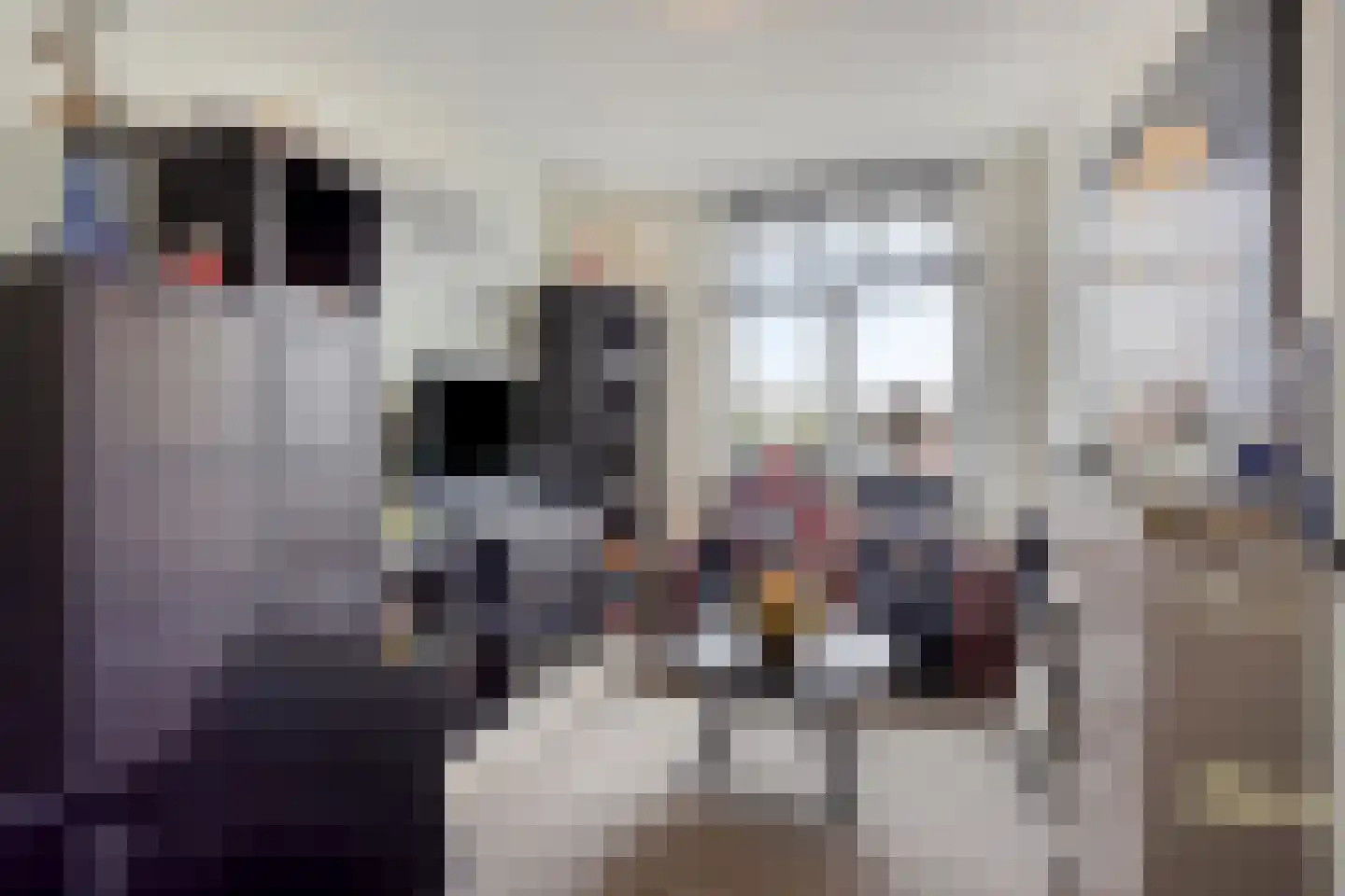 Witbomenbos 16 Meteren thumbnail 24