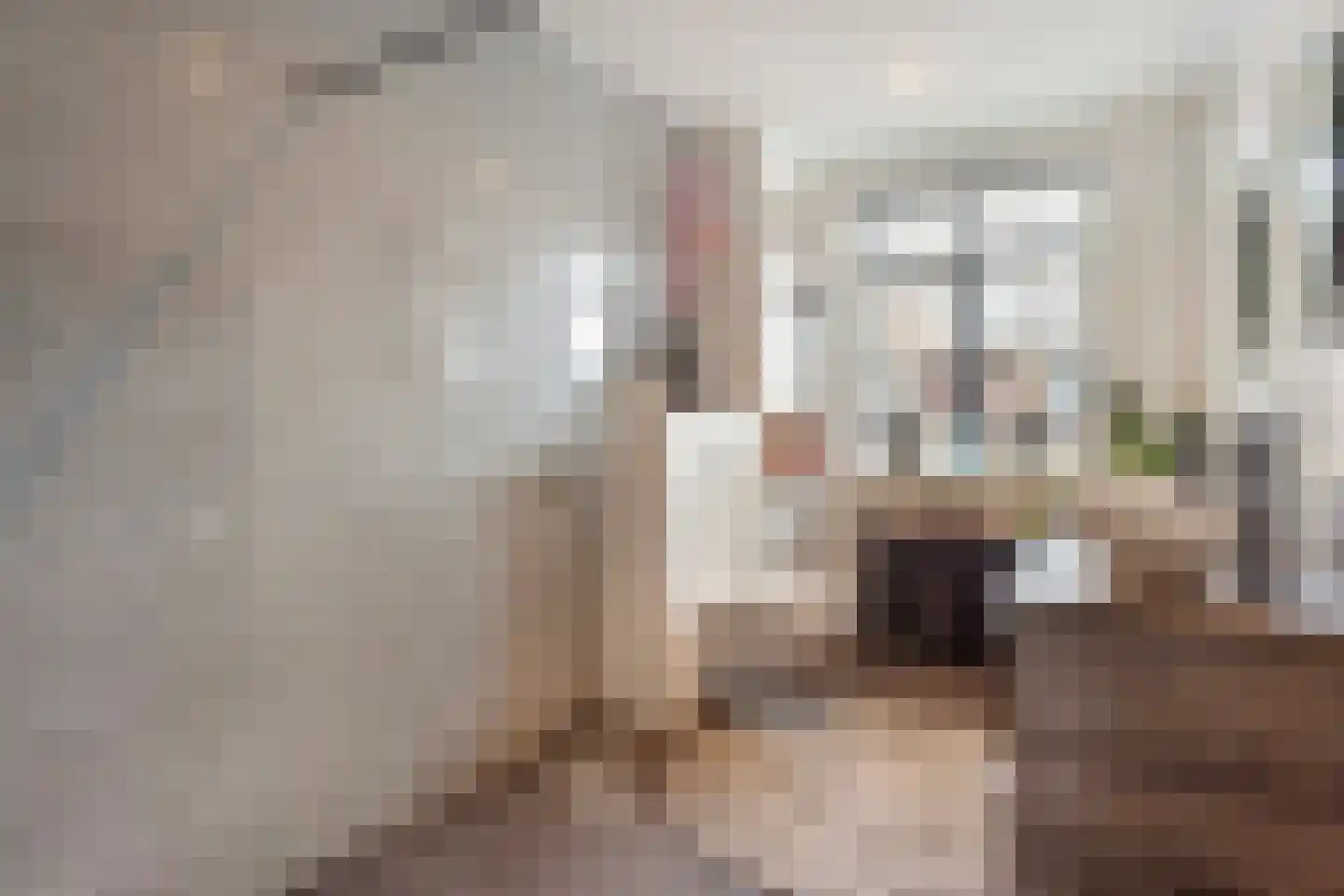 Witbomenbos 16 Meteren thumbnail 25