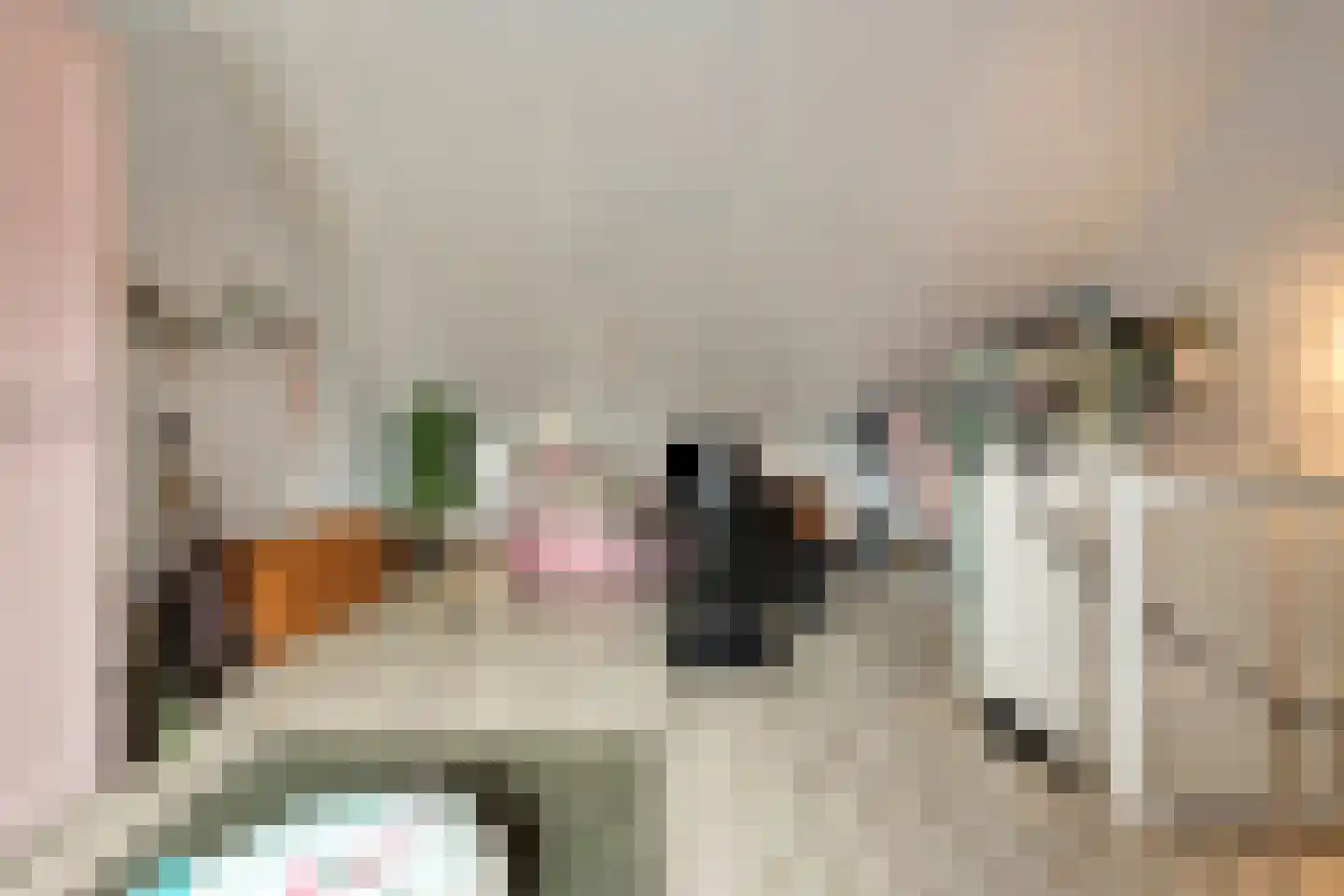 Witbomenbos 16 Meteren thumbnail 30